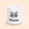 mug raton laveur